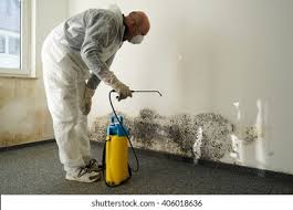 Mold Documentation for Insurance Claims in Lenoir, NC